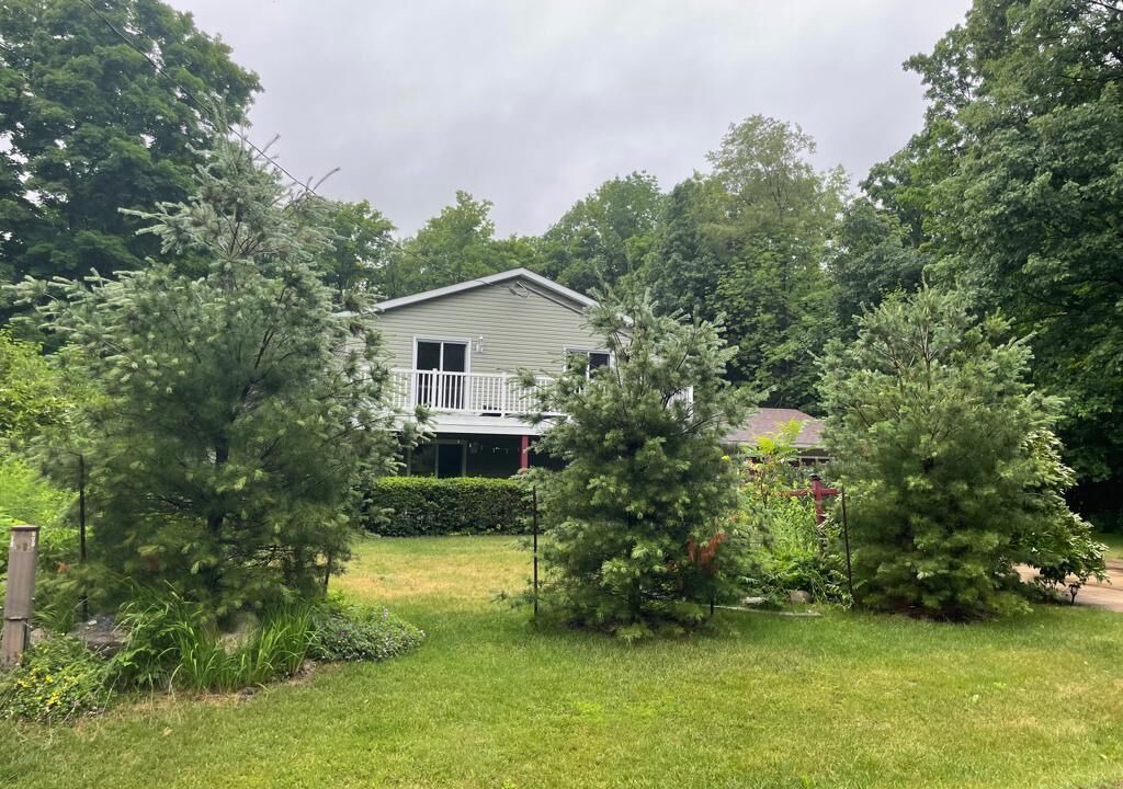 Photo of Outdoor in Tiny