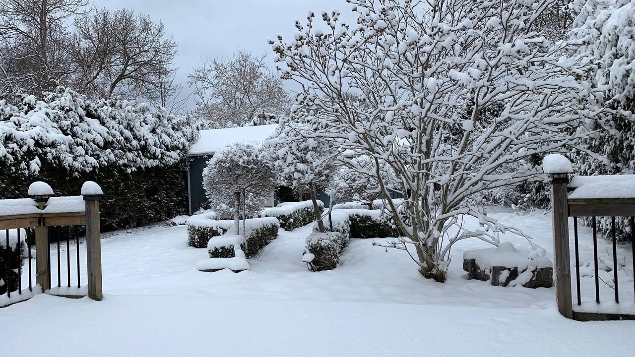 Photo of Outdoor in Georgina
