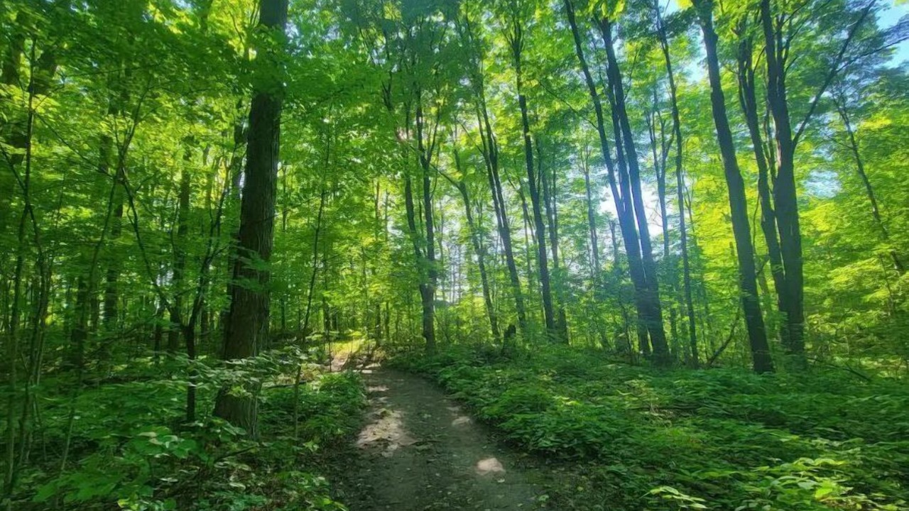 Photo of Outdoor in Waterloo