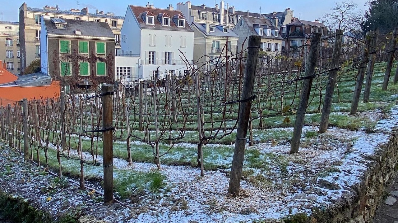 Photo of Outdoor in Montmartre