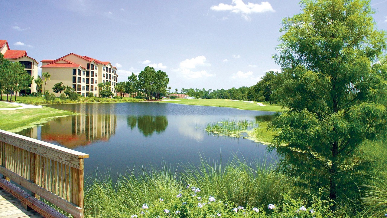 Photo of Outdoor in Orange Lake