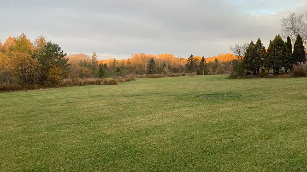 Photo of Others in Oro-Medonte