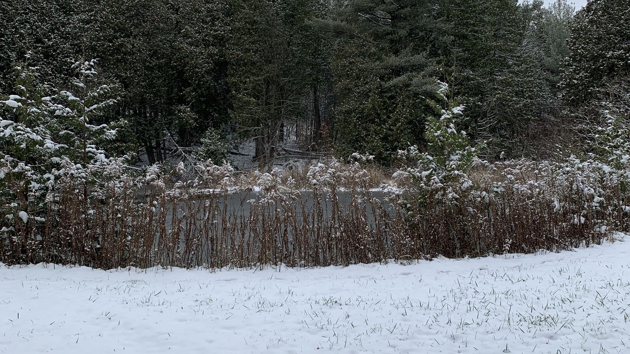 Photo of Others in Oro-Medonte