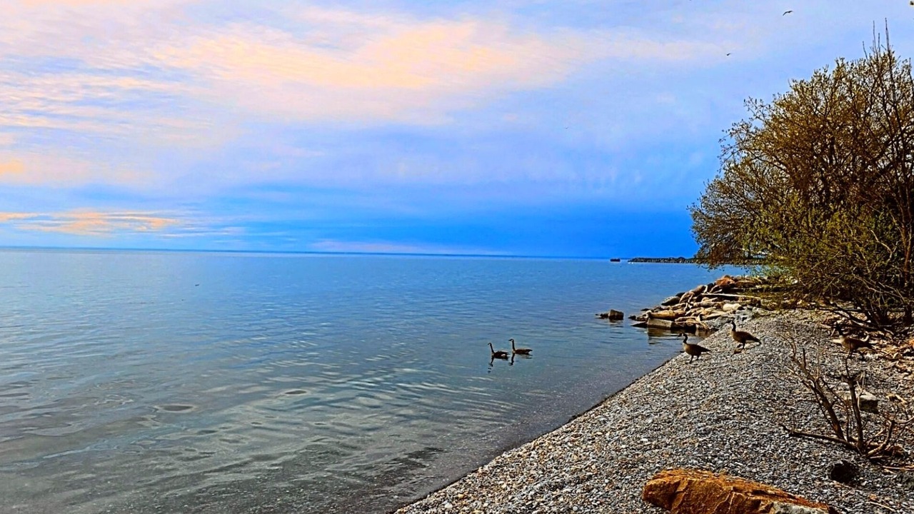 Photo of Others in Bowmanville