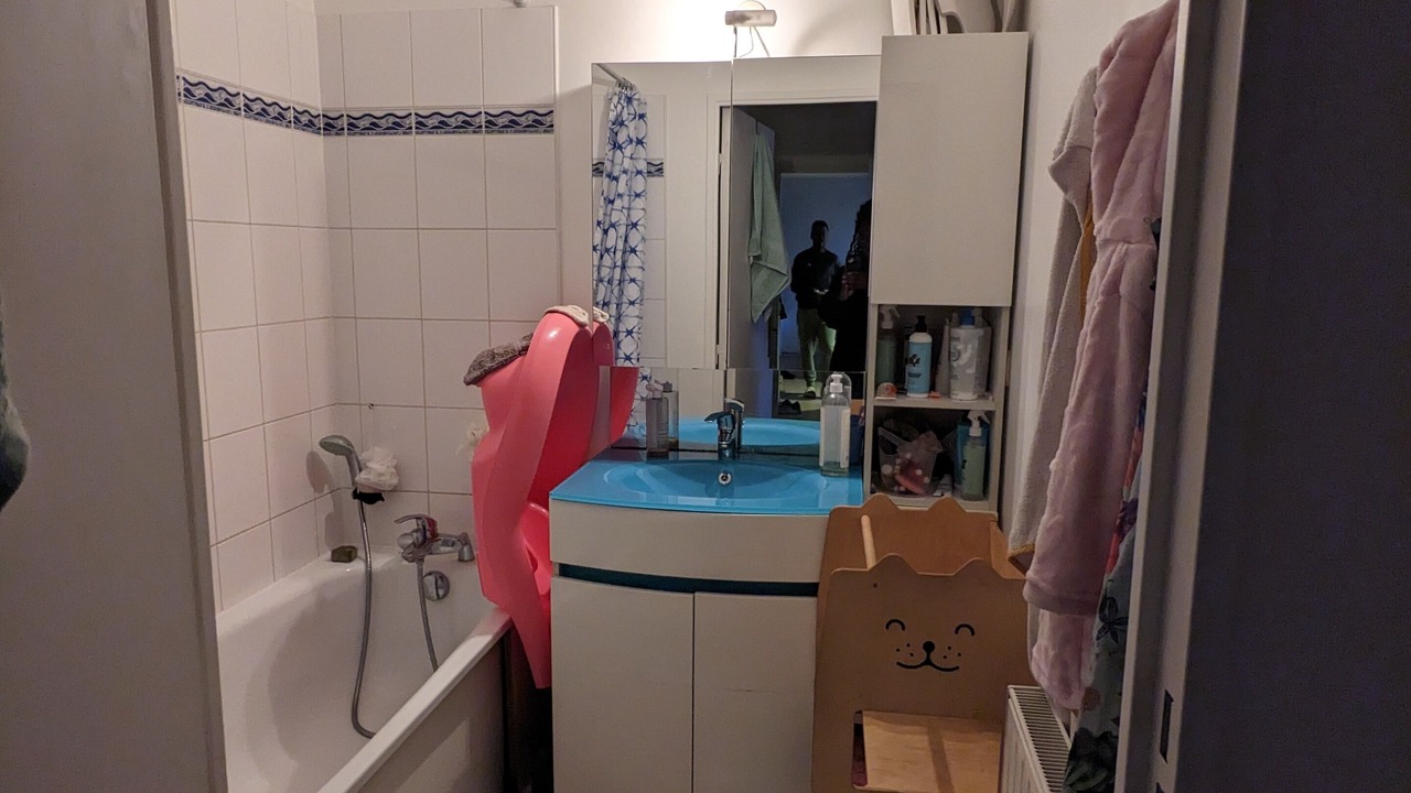 Photo of Bathroom in Saint-Denis