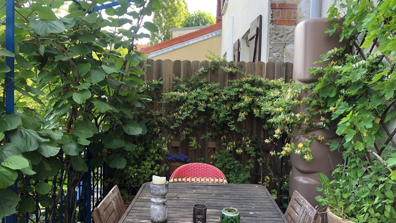 Photo of Outdoor in Rosny-sous-Bois