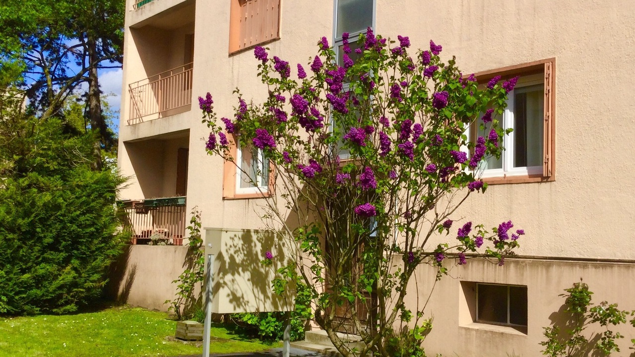 Photo of Outdoor in Bondy