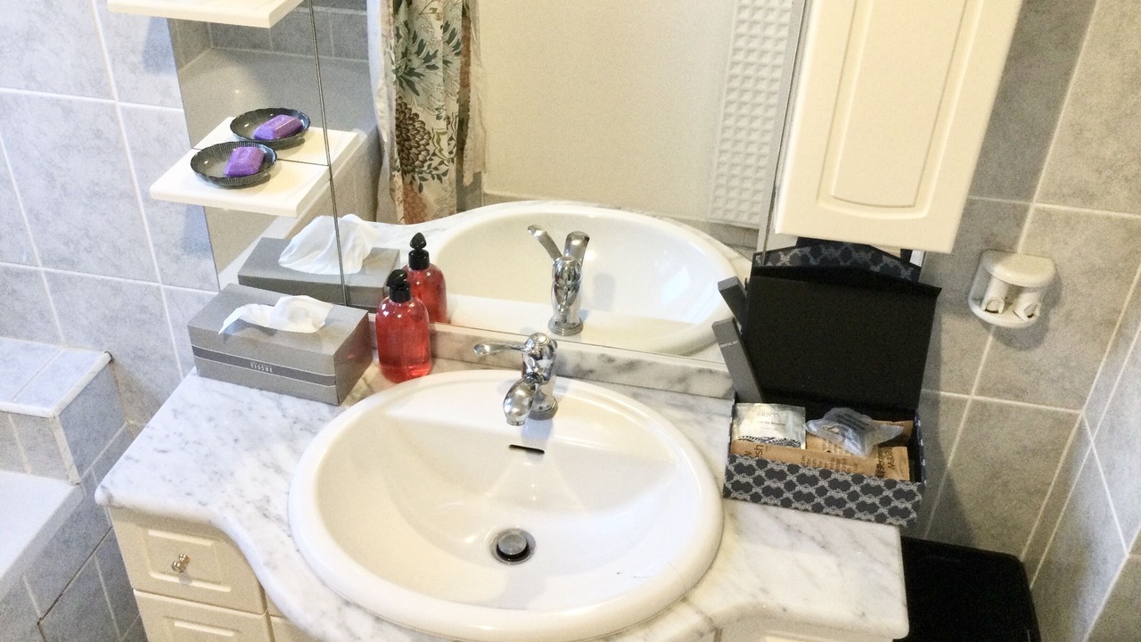 Photo of Bathroom in Bondy