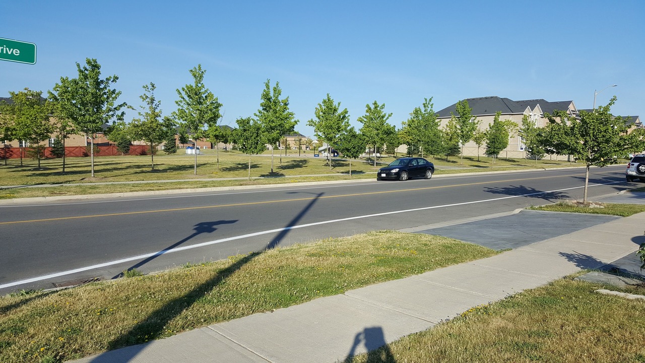 Photo of Outdoor in Armdale
