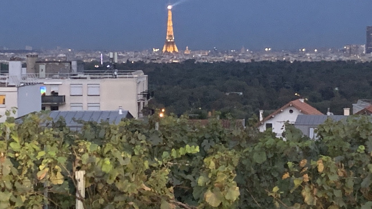 Photo of Outdoor in Suresnes