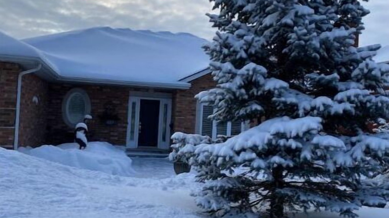 Photo of Outdoor in Amherstview