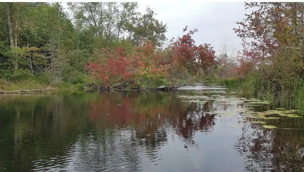 Photo of Others in Tyendinaga