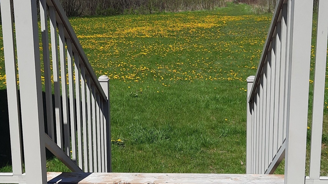 Photo of Outdoor in Haliburton