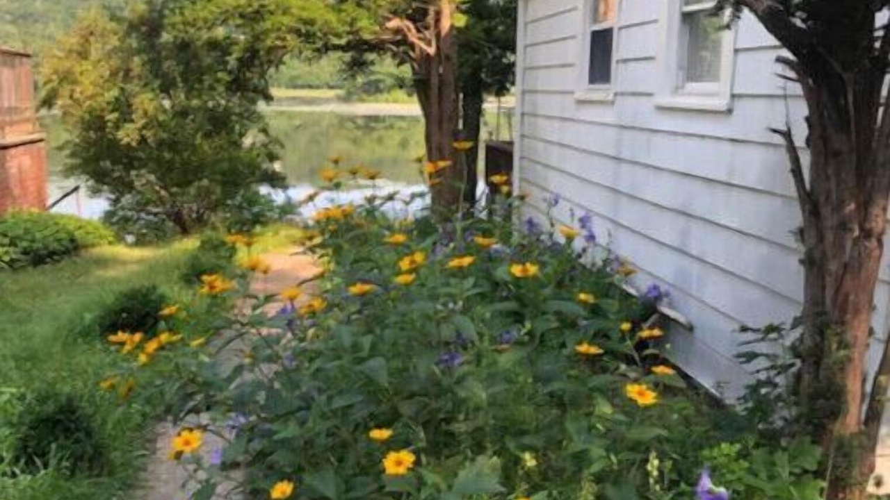 Photo of Outdoor in Pine Plains