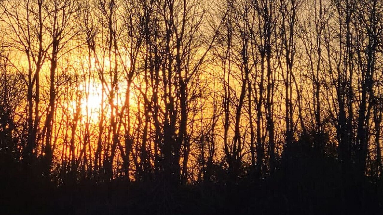 Photo of Outdoor in Prince Edward