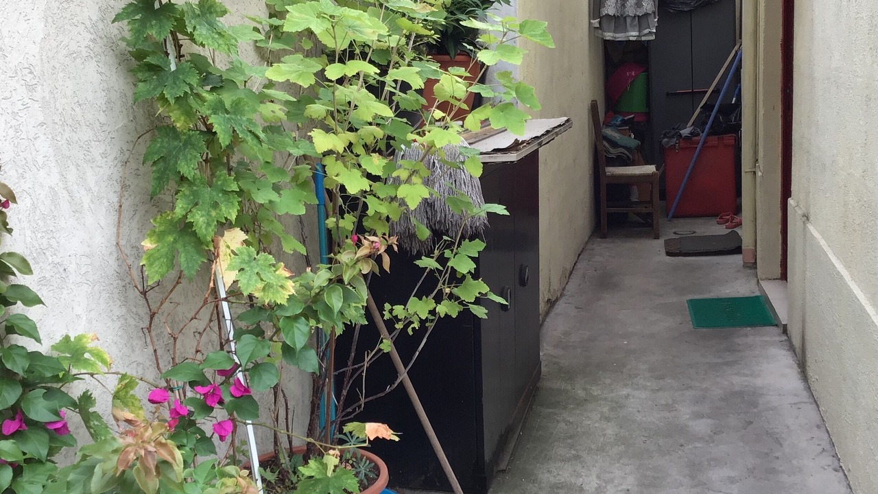 Photo of Outdoor in Aubervilliers