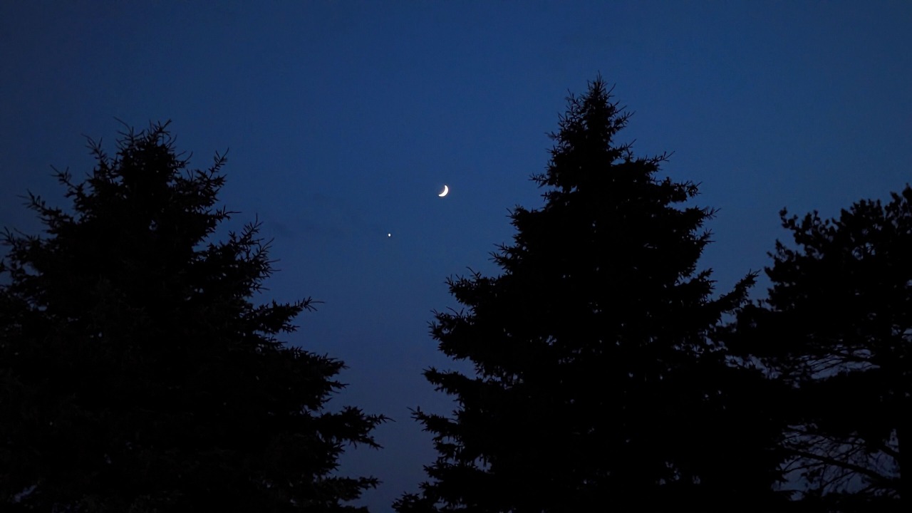 Photo of Outdoor in Georgina