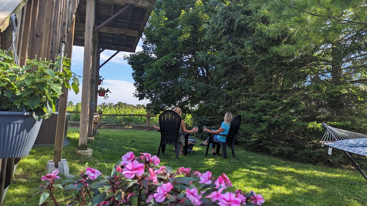 Photo of Outdoor in Georgina