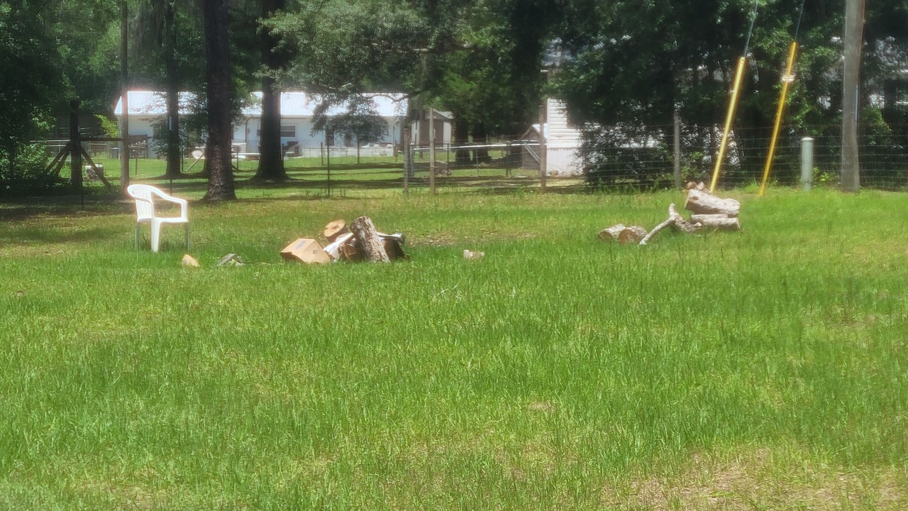 Photo of Outdoor in Fort McCoy