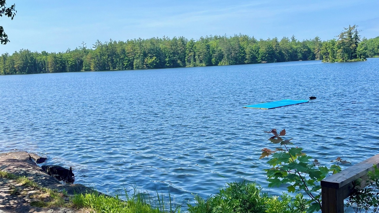 Photo of Outdoor in Georgian Bay