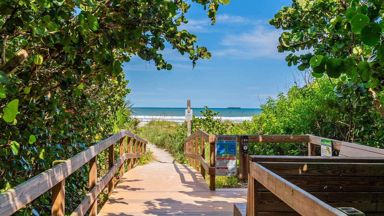 Photo of Outdoor in Harbor Heights