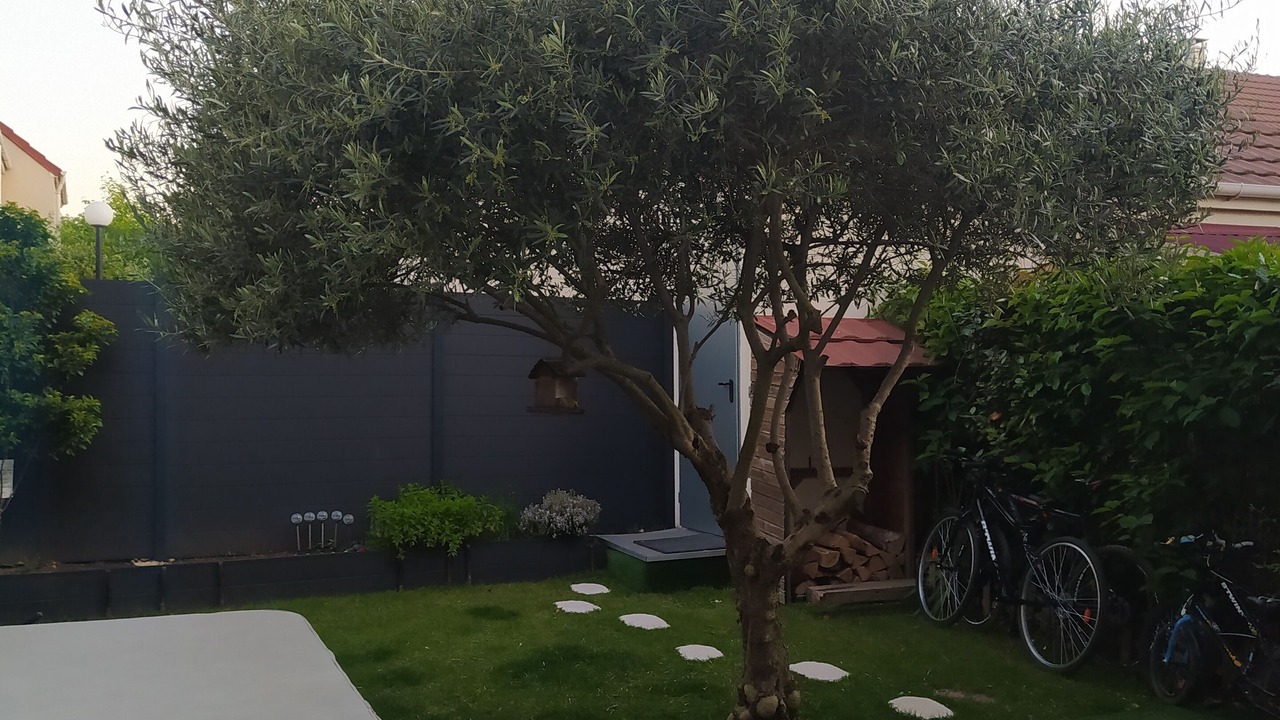 Photo of Outdoor in Thiais