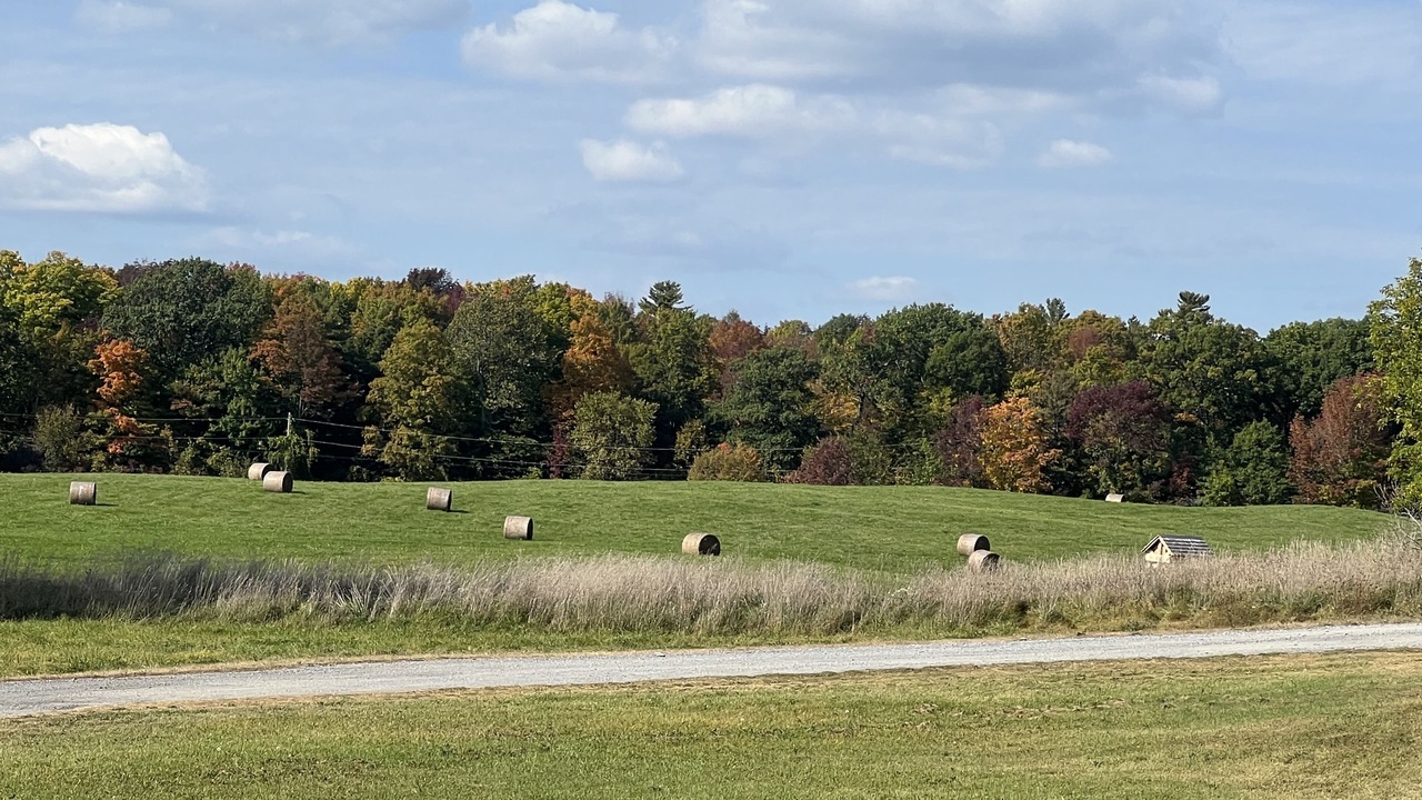 Photo of Others in Howe Island