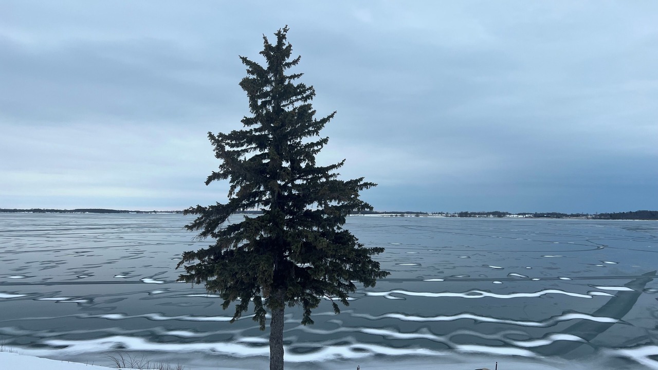 Photo of Others in Howe Island