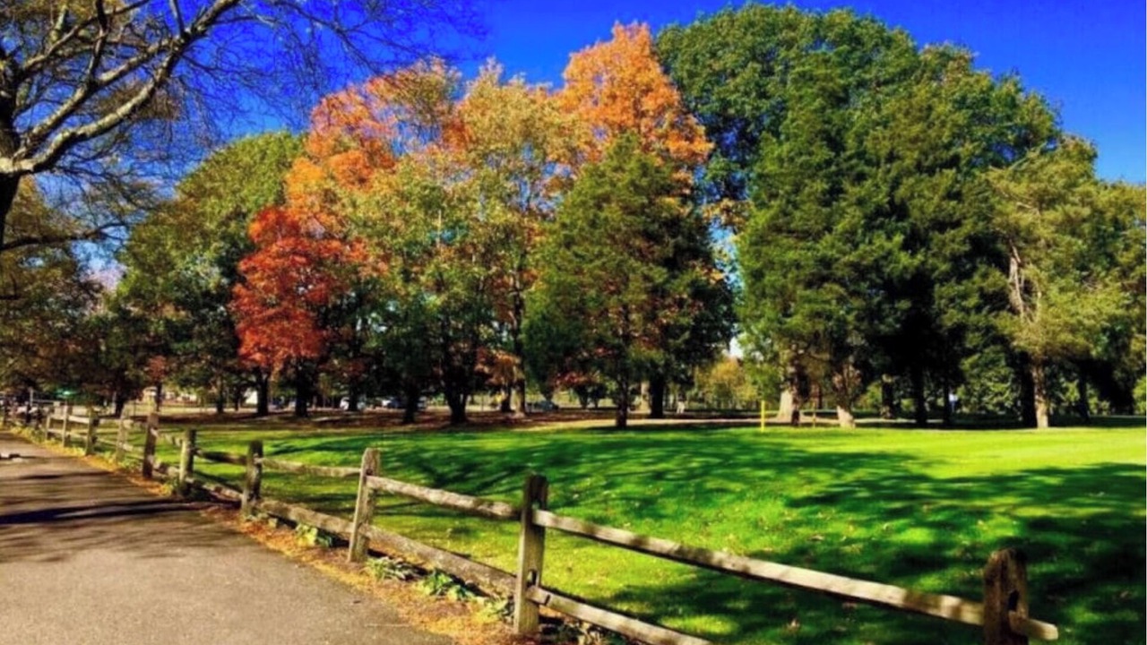 Photo of Others in Baldwin