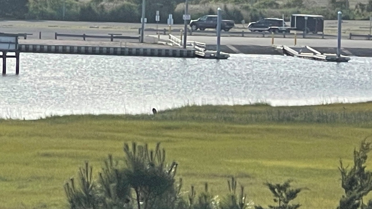Photo of Others in Milford