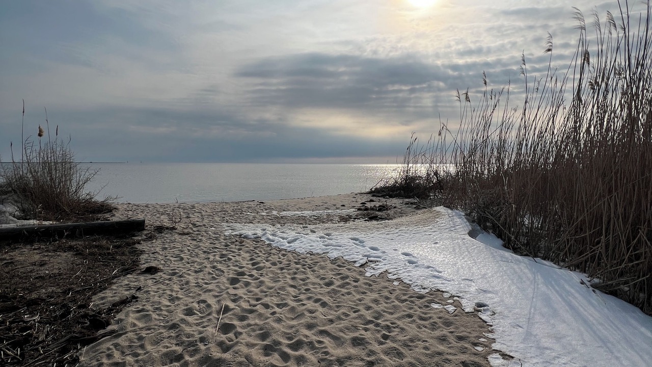 Photo of Others in Milford