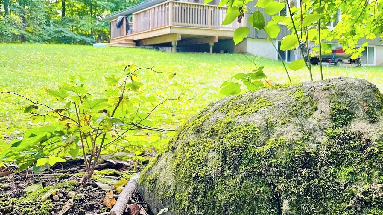 Photo of Outdoor in Flesherton