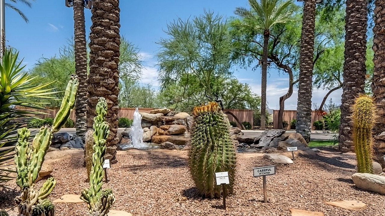 Photo of Outdoor in North Scottsdale