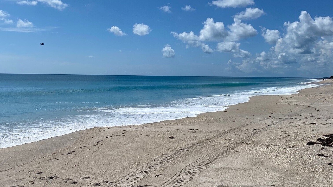 Photo of Others in Indian River Shores