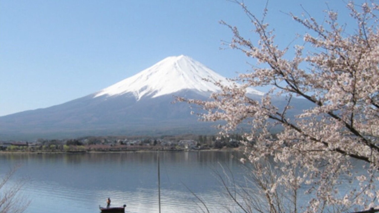 Photo of Others in Oishi