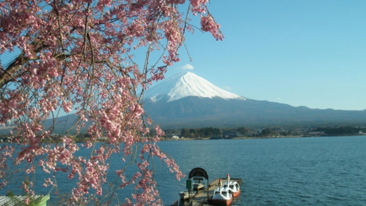 Photo of Outdoor in Oishi