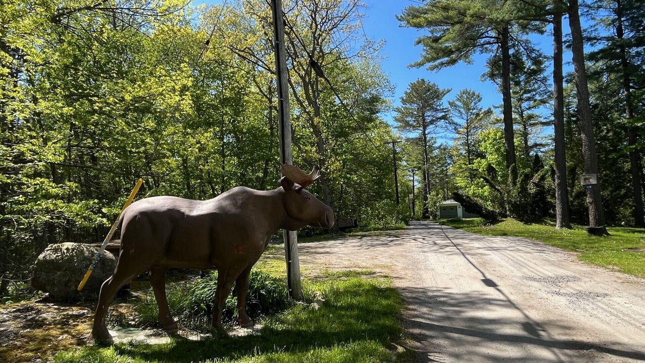 Photo of Others in Gravenhurst