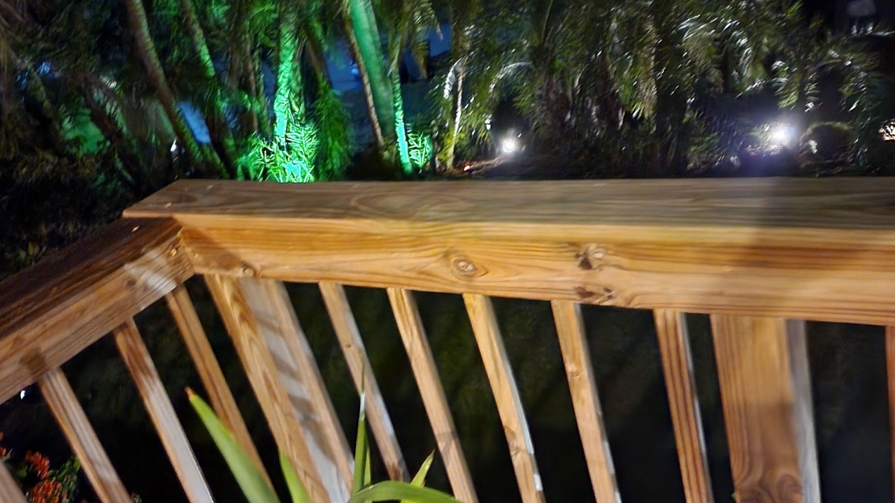 Photo of Outdoor in San Carlos Park
