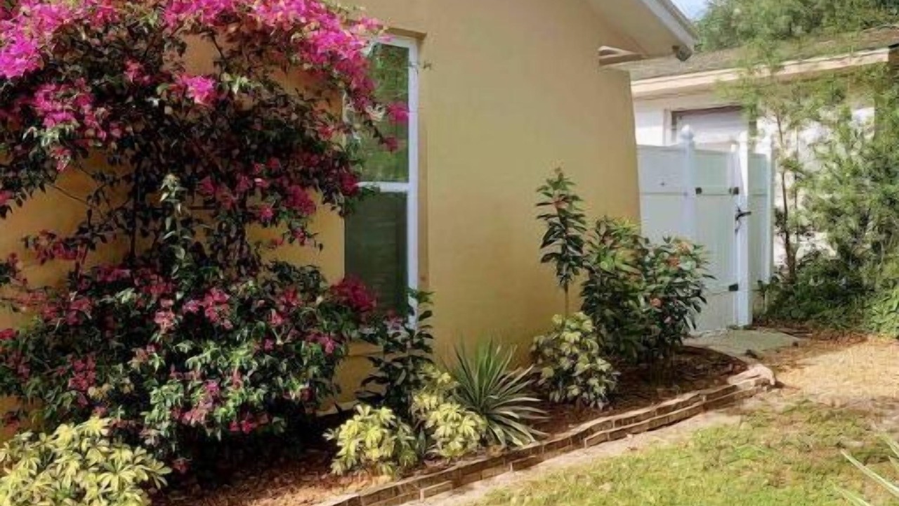 Photo of Outdoor in Lakeland