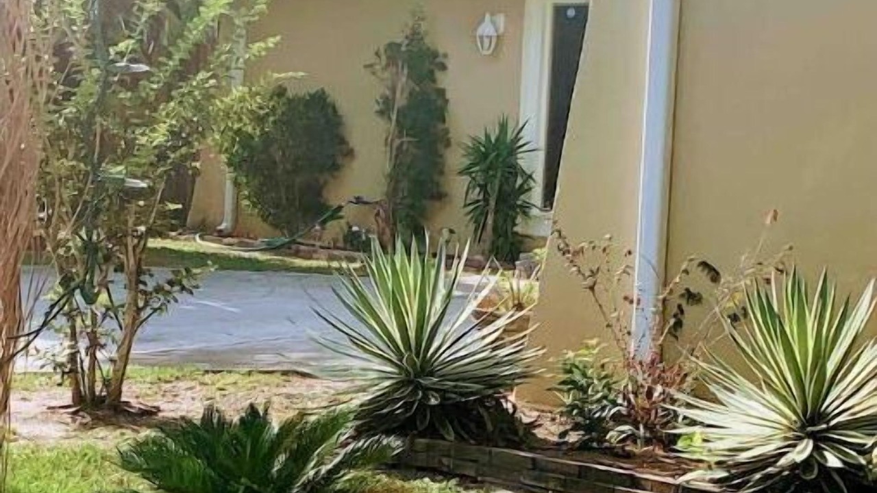 Photo of Outdoor in Lakeland