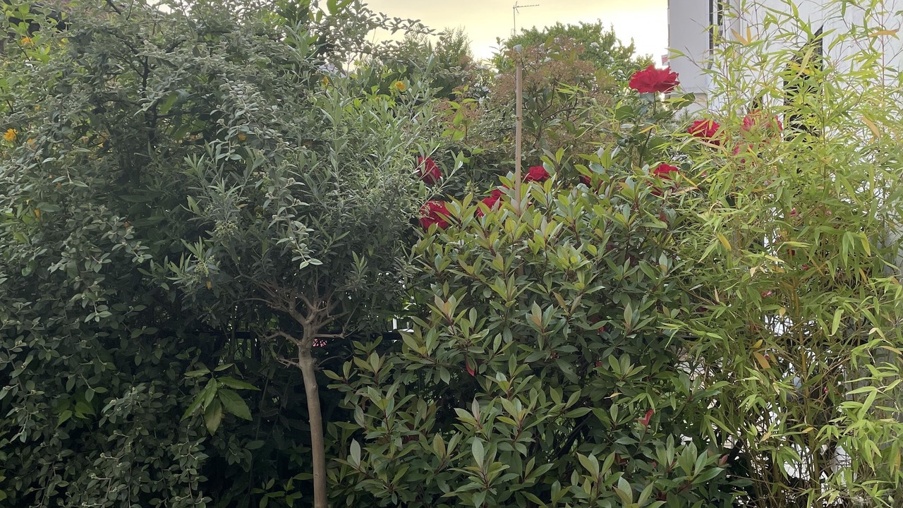 Photo of Outdoor in Montrouge