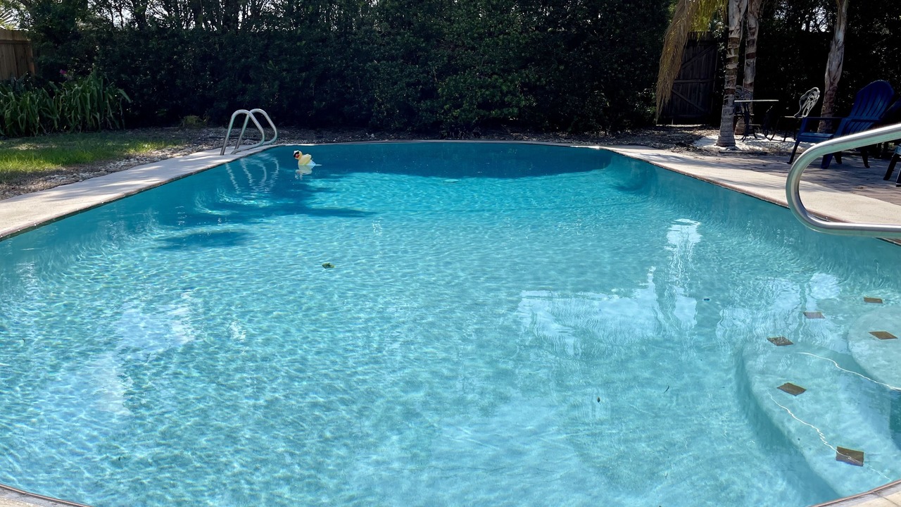 Photo of Outdoor in Goldenrod