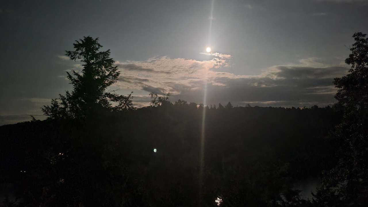 Photo of Outdoor in Dysart et al