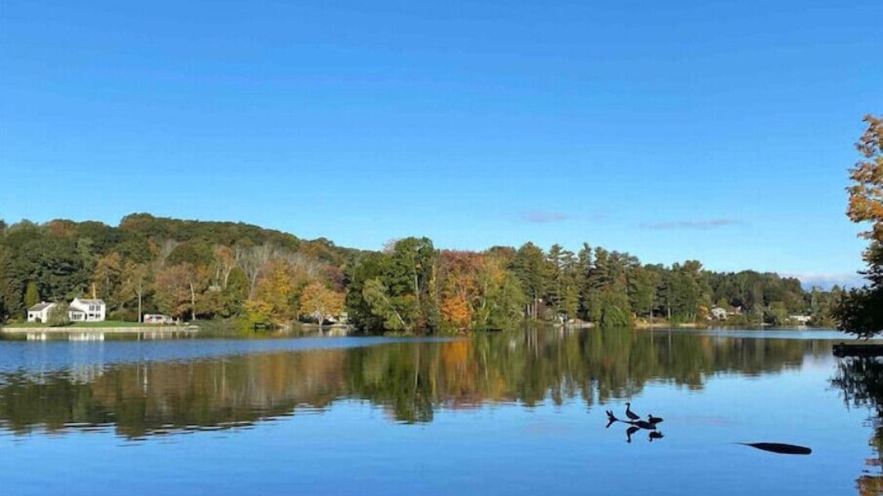 Photo of Outdoor in South Salem