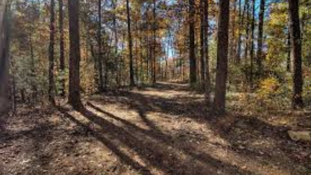 Photo of Outdoor in Palm Bay