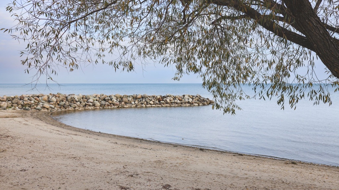 Photo of Others in Craigleith