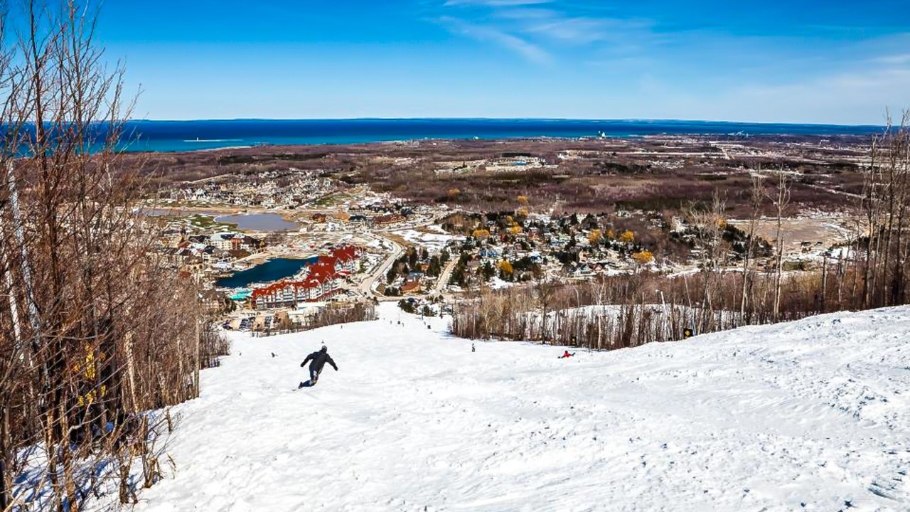 Photo of Others in Craigleith