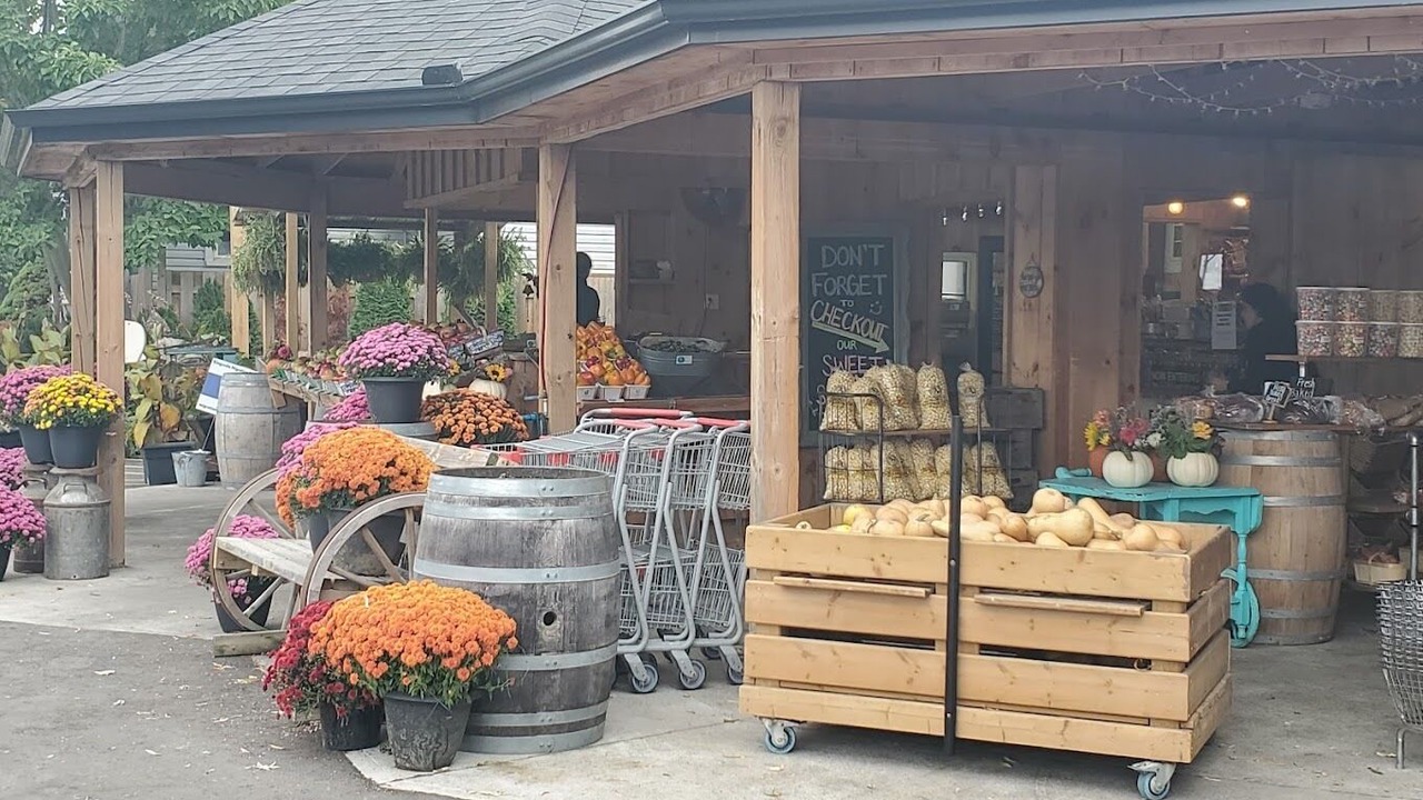 Photo of Outdoor in Kingsville