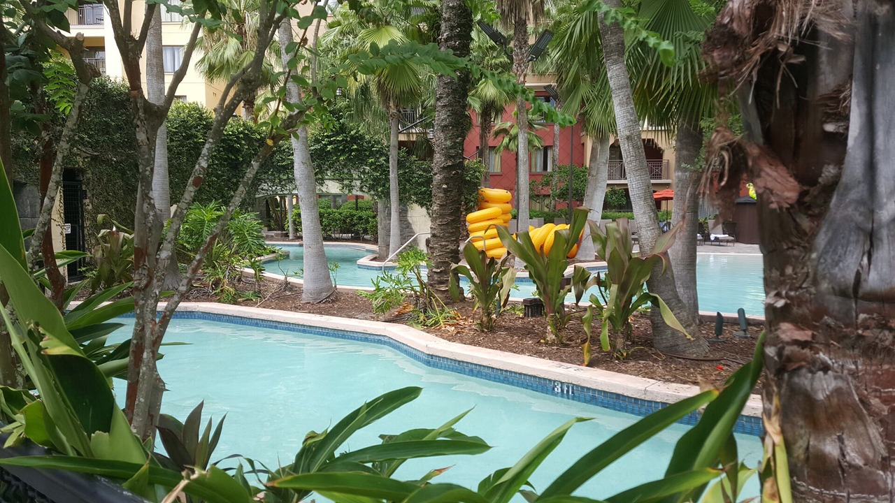 Photo of Outdoor in Lake Buena Vista