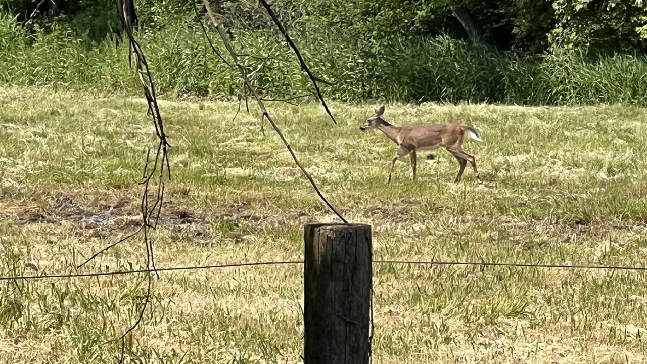 Photo of Outdoor in Stony Run